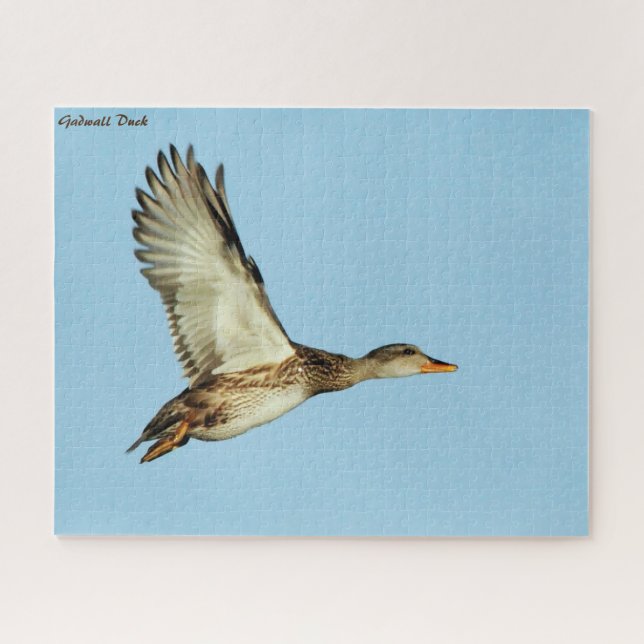 Gadwall Duck Jigsaw Puzzle (Horizontal)