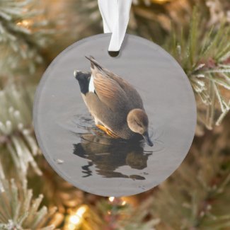 Gadwell Duck and Reflection Christmas Two-Sided