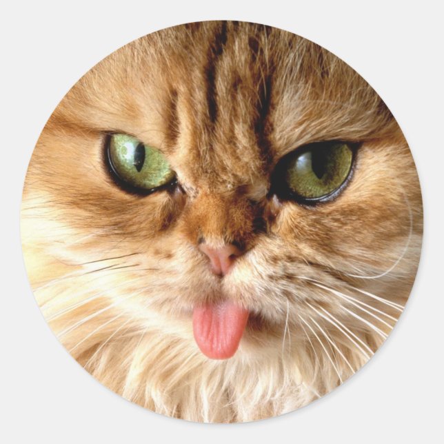 Gag me with a spoon classic round sticker (Front)
