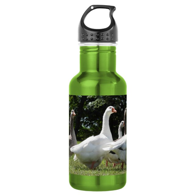 Gaggle of Domesticated Geese Stainless Steel Water Bottle (Front)