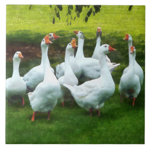 Gaggle of Geese Tile