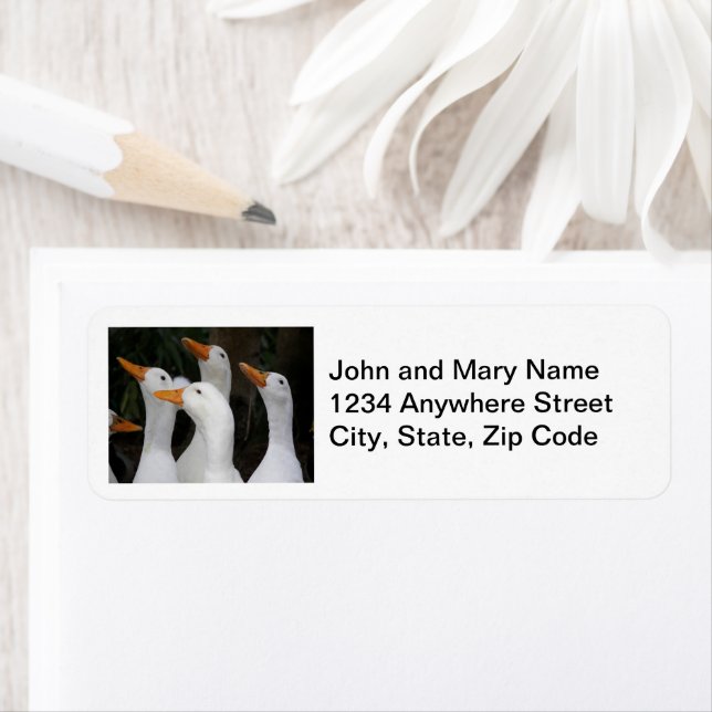 Gaggle of White Ducks Return Address Label (Insitu)