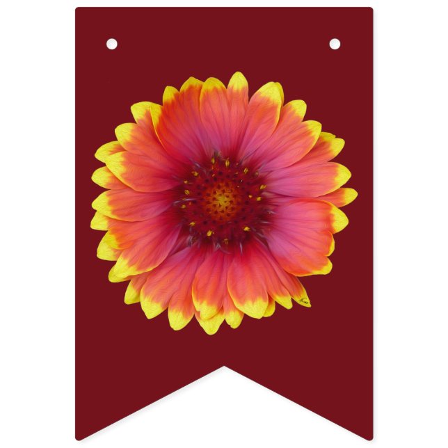 Gaillardia 1 bunting flags (First Flag)