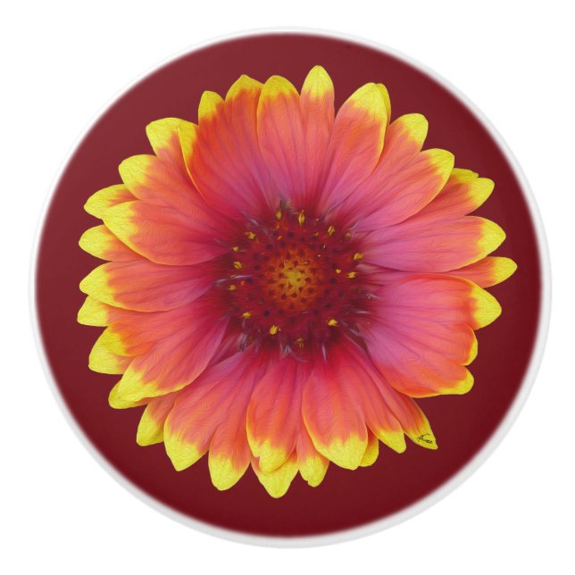 Gaillardia 1 ceramic knob (Front)