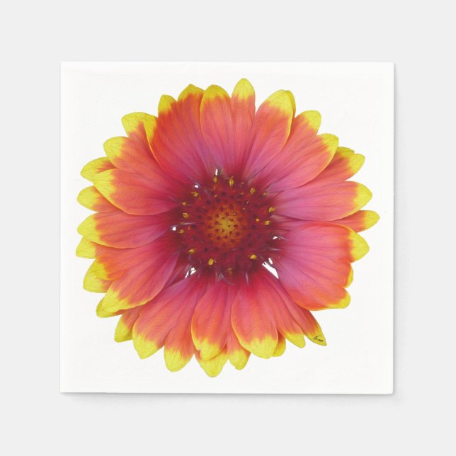 Gaillardia 1 paper napkins (Front)