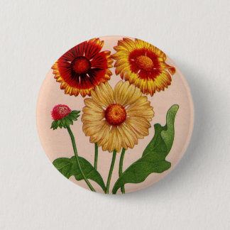 gaillardia gaillardias pinback button