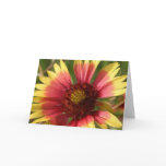 Gaillardia Greeting Card