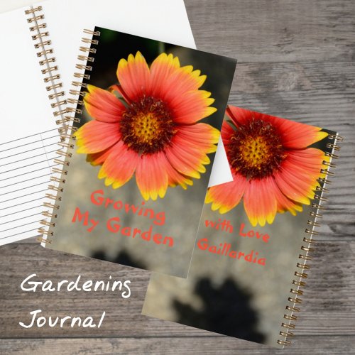 Gaillardia Sunflower of Orange and Yellow Gardener Notebook