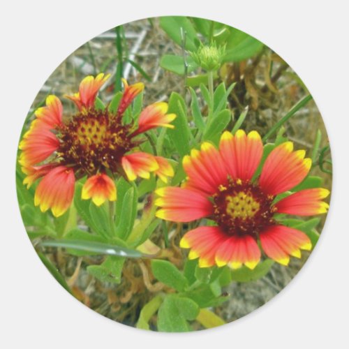 Gaillardia Wildflower Blanket Flower Tote Bag Classic Round Sticker