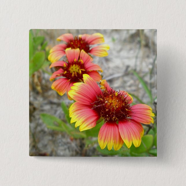 Gaillardia Wildflower (Blanket Flower) Tote Bag Pinback Button (Front)