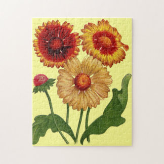 gaillardias jigsaw puzzle