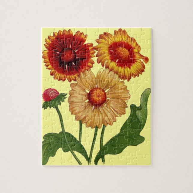 gaillardias jigsaw puzzle (Vertical)