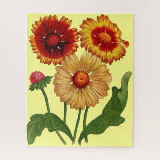 gaillardias jigsaw puzzle