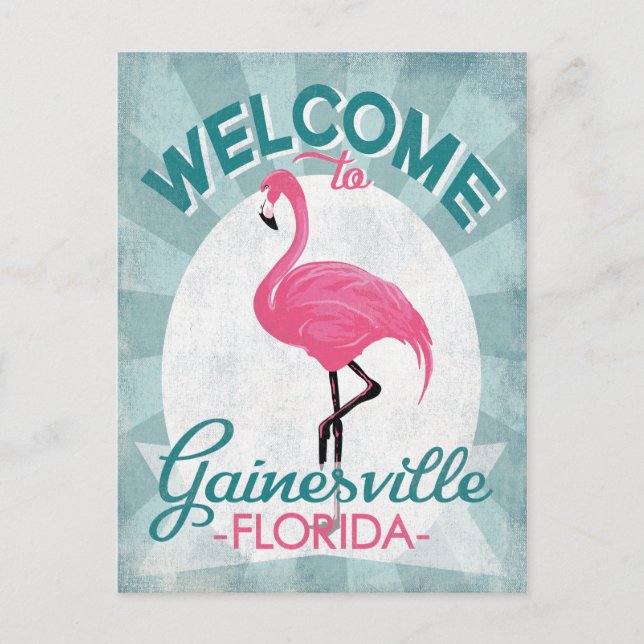Gainesville Florida Pink Flamingo Retro Postcard (Front)