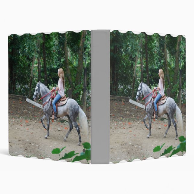 Gaited Paso Fino Binder (Background)