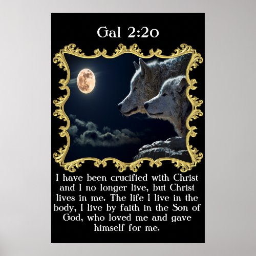 Gal 220 Wolves looking into the full moon Poster