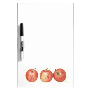 Gala apples Dry erase board. Dry-Erase Board