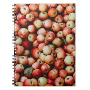 GALA APPLES NOTEBOOK
