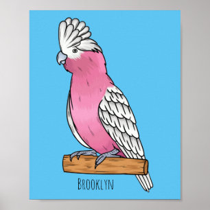 Galah bird cartoon illustration poster