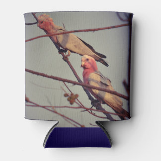 Galah birds in tree2 can cooler