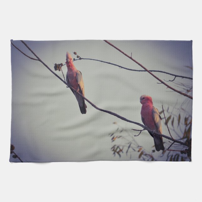Galah birds in tree 3 kitchen towel (Horizontal)