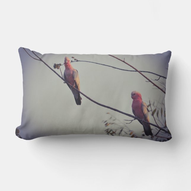 Galah birds in tree 3 lumbar pillow (Front)