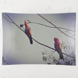 Galah birds in tree 3 trinket tray