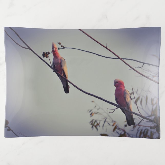 Galah birds in tree 3 trinket tray (Front)