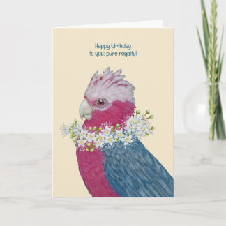 Galah cockatoo Folded Greeting Card