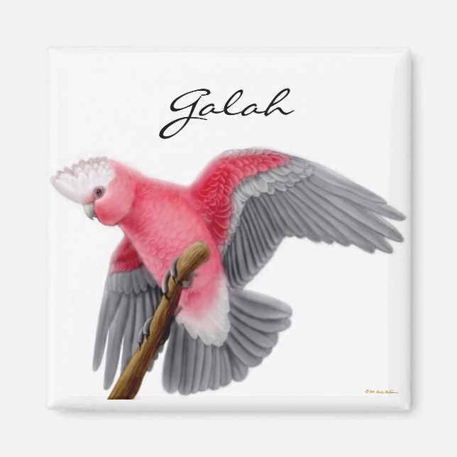 Galah Cockatoo Magnet (Front)