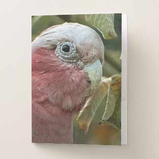 Galah Cockatoo Pink Australian Bird Portrait Pocket Folder