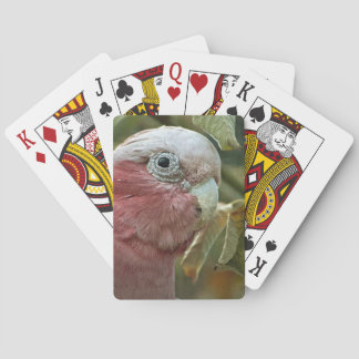 Galah Cockatoo Pink Australian Bird Portrait Poker Cards