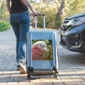 Galah Cockatoo Pink Australian Bird Portrait Sticker