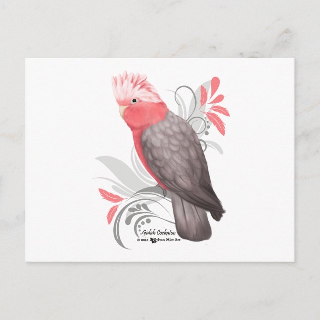 Galah Cockatoo Postcard (Front)