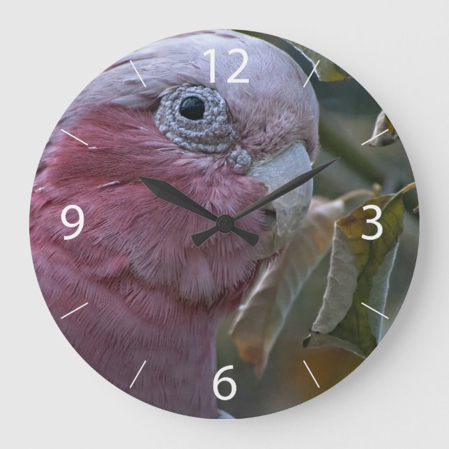 Galah or Rose-breasted Cockatoo Large Clock (Front)