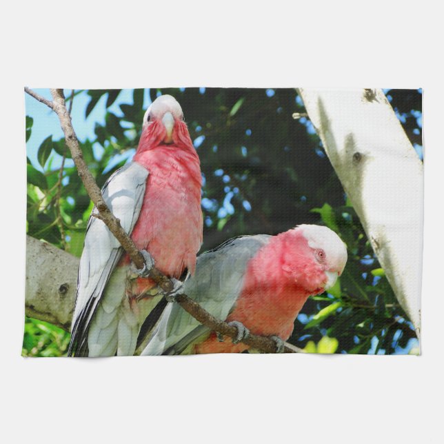 Galah (Rose Breasted Cockatoo) Kitchen Towel (Horizontal)