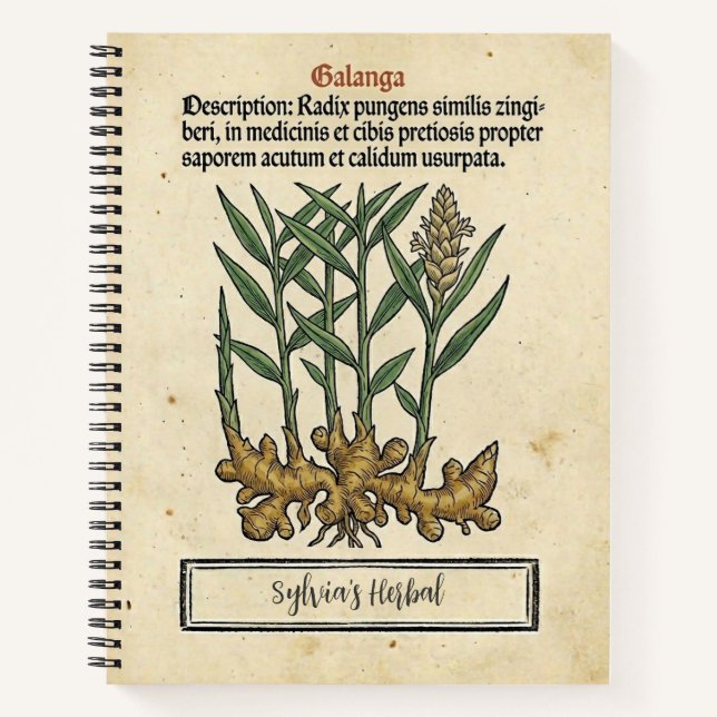 Galangal Root: The Apothecary's Medieval Recipe Notebook (Front)