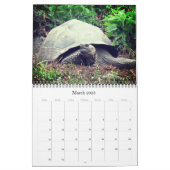 galapagos animals 2024 calendar (Mar 2025)