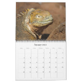 galapagos animals 2024 calendar (Jan 2025)