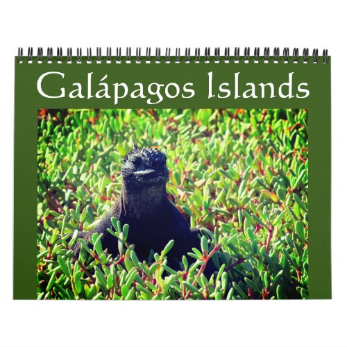 galapagos animals 2025 calendar
