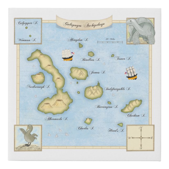 Galapagos Archipelago Illustrated Map with Ships Faux Canvas Print (Front)