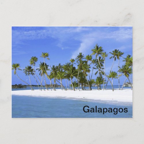 Galapagos _ beach postcard