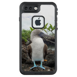 Galapagos Blue-footed booby LifeProof FRĒ iPhone 7 Plus Case