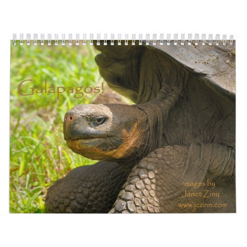 Galapagos Calendar