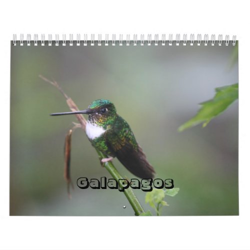 Galapagos Calendar