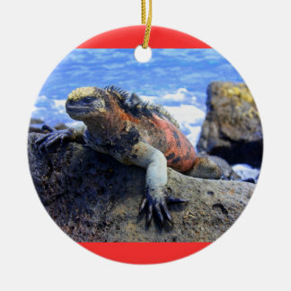 Galapagos Ceramic Ornament