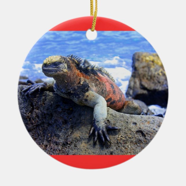 Galapagos Ceramic Ornament (Front)
