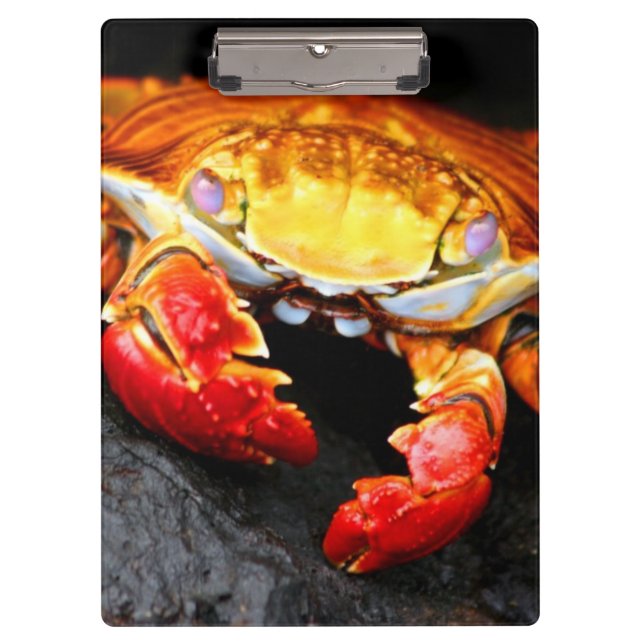 Galapagos Crab Clipboard (Front)