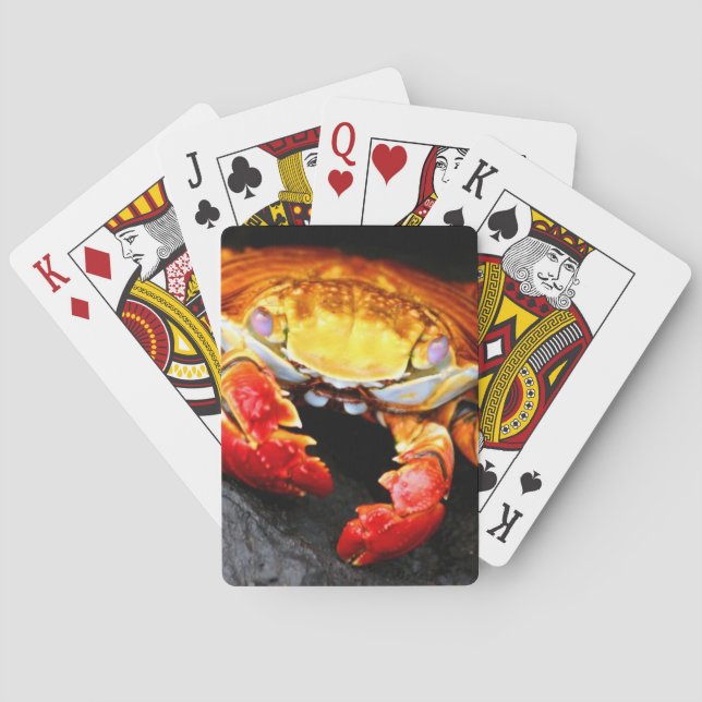 Galapagos Crab Poker Cards (Back)