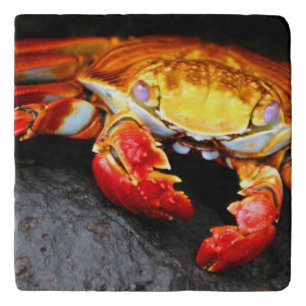 Galapagos Crab Trivet